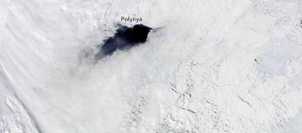 Strange holes keep opening in South Pole Strange holes keep opening in South Pole - Sputnik International