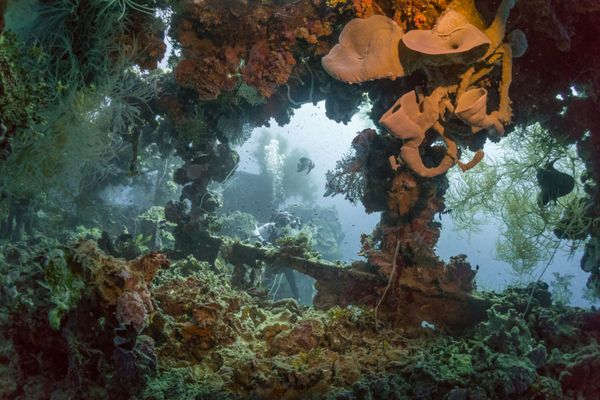 Sunken Universe Full of Secrets Hidden Under the Waters of the Ocean Sunken Universe Full of Secrets Hidden Under the Waters of the Ocean - Sputnik International