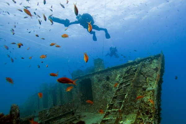 Sunken Universe Full of Secrets Hidden Under the Waters of the Ocean Sunken Universe Full of Secrets Hidden Under the Waters of the Ocean - Sputnik International