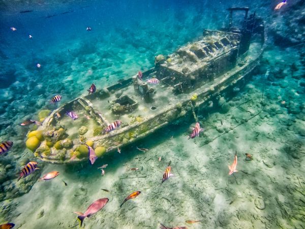 Sunken Universe Full of Secrets Hidden Under the Waters of the Ocean Sunken Universe Full of Secrets Hidden Under the Waters of the Ocean - Sputnik International
