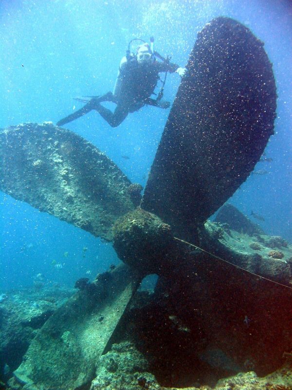 Sunken Universe Full of Secrets Hidden Under the Waters of the Ocean Sunken Universe Full of Secrets Hidden Under the Waters of the Ocean - Sputnik International