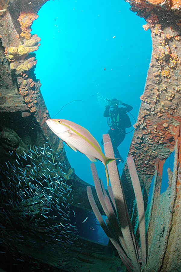 Sunken Universe Full of Secrets Hidden Under the Waters of the Ocean Sunken Universe Full of Secrets Hidden Under the Waters of the Ocean - Sputnik International
