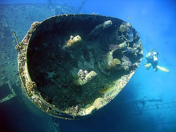Sunken Universe Full of Secrets Hidden Under the Waters of the Ocean Sunken Universe Full of Secrets Hidden Under the Waters of the Ocean - Sputnik International