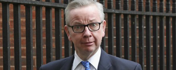 Britain's Environment, Food and Rural Affairs Secretary Michael Gove  - Sputnik International