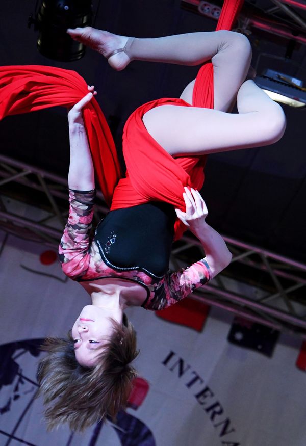 International Asia-Pacific Pole & Aerial Acrobatic Championship in Vladivostok International Asia-Pacific Pole & Aerial Acrobatic Championship in Vladivostok - Sputnik International