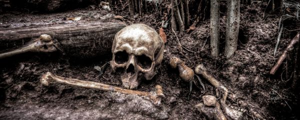 Human bones - Sputnik International