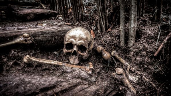 Human bones - Sputnik International
