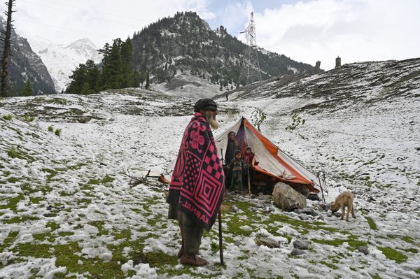 A Kashmiri nomad stands outside a tent after a snowfall in Sonamarg, some 89 kms of Srinagar on June 12, 2019.  - Sputnik International
