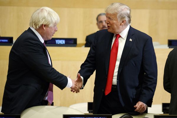 PM Johnson Accused of Seeking ‘Quick-Fire’ US Trade Deal Post-Brexit by Slashing UK Food Safeguards - Sputnik International