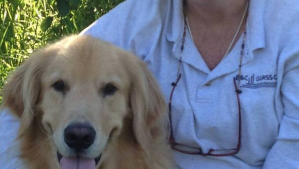 Nancy Bucciarelli and her golden retriever - Sputnik International