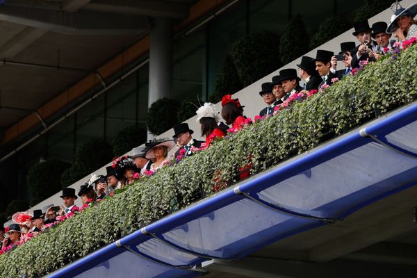 The Sputnik Intelligent Punter's Guide to Royal Ascot - Sputnik International
