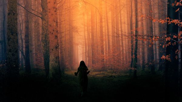 Scary Kid in Dark Night Forest Scary Kid in Dark Night Forest - Sputnik International