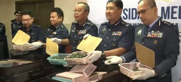 Malaysian Officials Seize More Than 5,000 Smuggled Terrapins At Kuala Lumpur Airport (Photo, Video) Malaysian Officials Seize More Than 5,000 Smuggled Terrapins At Kuala Lumpur Airport (Photo, Video) - Sputnik International