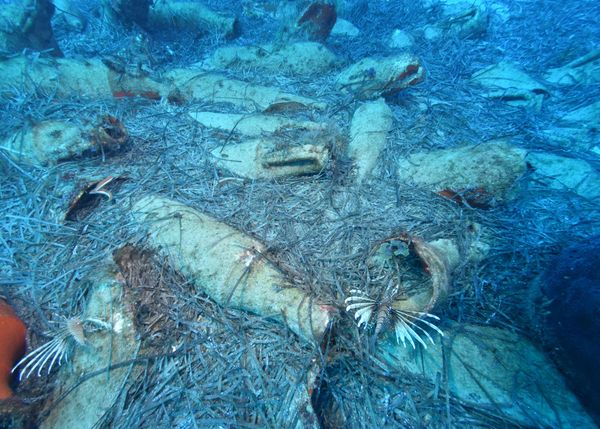 Archaeological Divers Discover Roman-era Shipwreck Off Cyprus Coast (Photo) Archaeological Divers Discover Roman-era Shipwreck Off Cyprus Coast (Photo) - Sputnik International