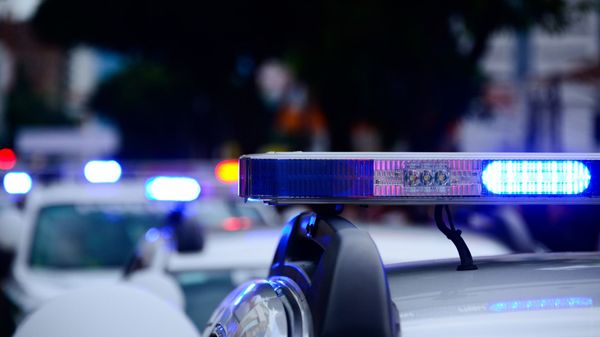 Police car, lights - Sputnik International