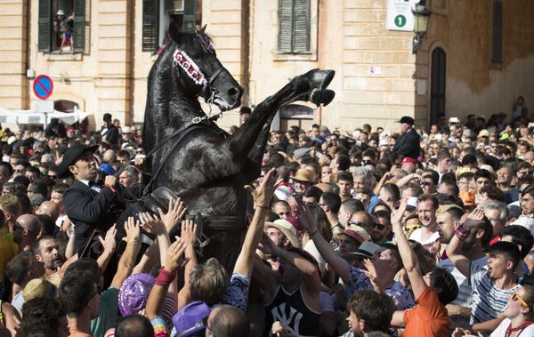 A Horse Rears in the Crowd During the Caragol des Born A Horse Rears in the Crowd During the Caragol des Born - Sputnik International