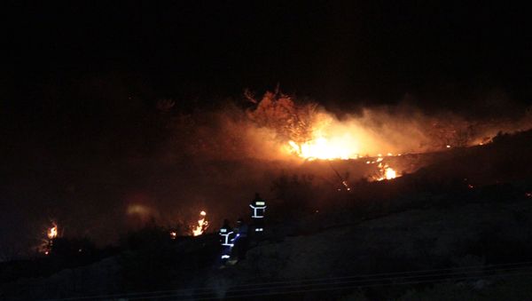 Fire is seen on a hillside where officials said was caused by a suspected Russian missile that exploded overnight on July 1, 2019, in the northern part of the divided island of Cyprus, during an Israeli aerial raid in Syria. Fire is seen on a hillside where officials said was caused by a suspected Russian missile that exploded overnight on July 1, 2019, in the northern part of the divided island of Cyprus, during an Israeli aerial raid in Syria. - Sputnik International