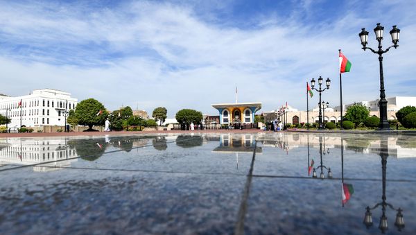 This picture, taken on 17 November 2018, shows a view of the exterior of Al-Alam, a ceremonial palace in Oman's capital Muscat - Sputnik International