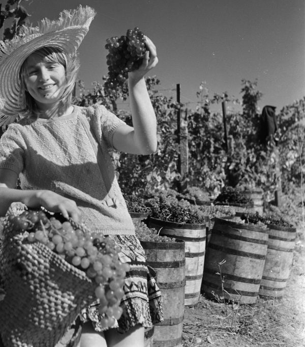 Ladies' Hats, Gymnastics on the Beach and Gagarin: A Look Back at Soviet Crimea Ladies' Hats, Gymnastics on the Beach and Gagarin: A Look Back at Soviet Crimea - Sputnik International