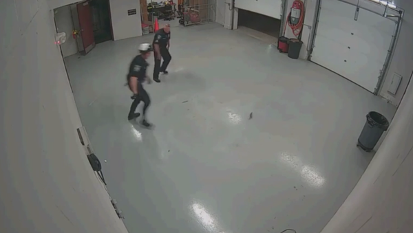 Police Officers Chase Squirrel - Sputnik International