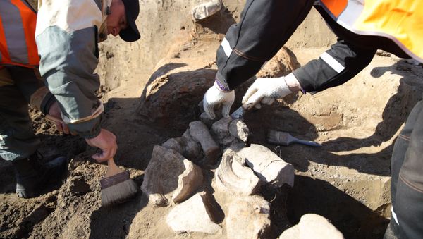 Archeologists  - Sputnik International