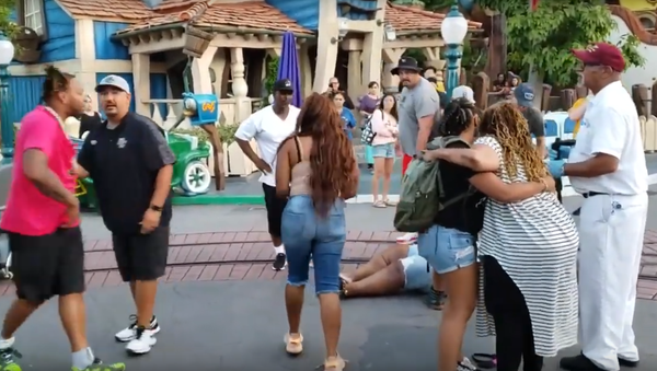 ‘Hold My Daughter!’: Family Fistfight Breaks Out in ‘Happiest Place on Earth - Sputnik International