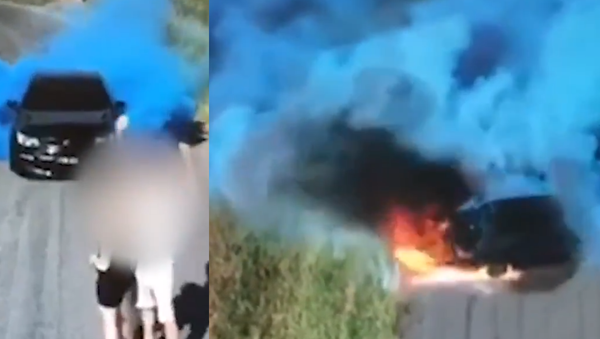 It’s a … Demon?! Aussie Gender Reveal Ends in Flames  - Sputnik International