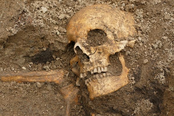 'Sensational' Viking-Age Ship Burial Unearthed in Sweden (Photo) - Sputnik International