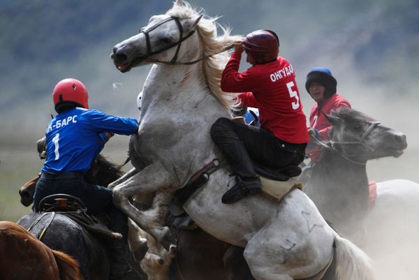 Players during a match at the Kok-Boru championship near the Kupchegen village in Russia's Altai Republic. - Sputnik International