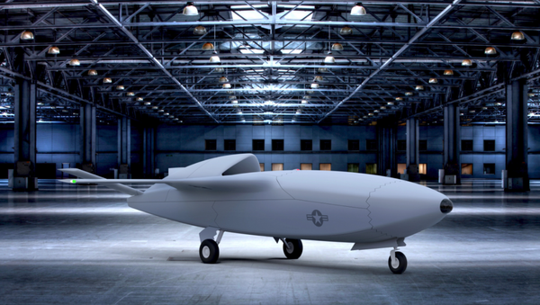A Skyborg conceptual design for a low cost attritable Unmanned Combat Aerial Vehicle. (Air Force Research Laboratory artwork) - Sputnik International