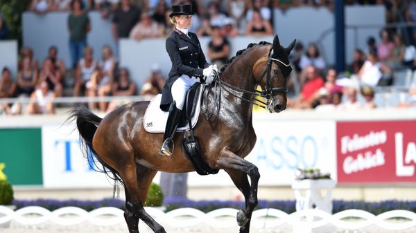 German dressage rider Jessica von Bredow-Werndl on her horse Dalera competes during the World Equestrian Festival CHIO in Aachen Germany on July 21, 2018 - Sputnik International
