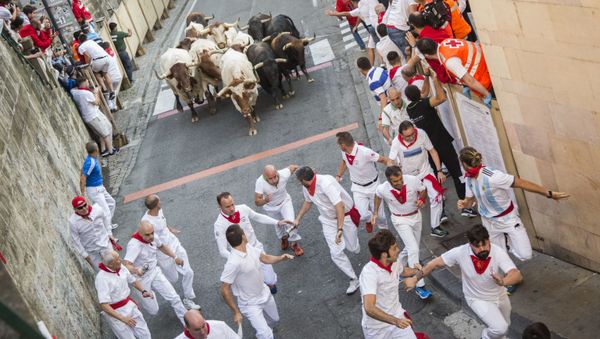 A bull race at the festival of San Fermín in Pamplona, Spain - Sputnik International