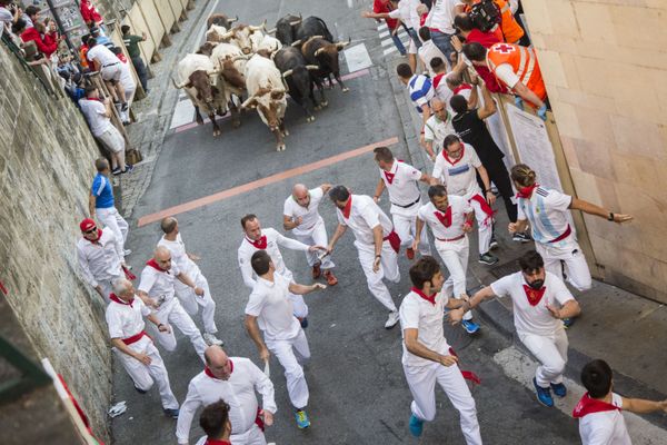 A bull race at the festival of San Fermín in Pamplona, Spain - Sputnik International