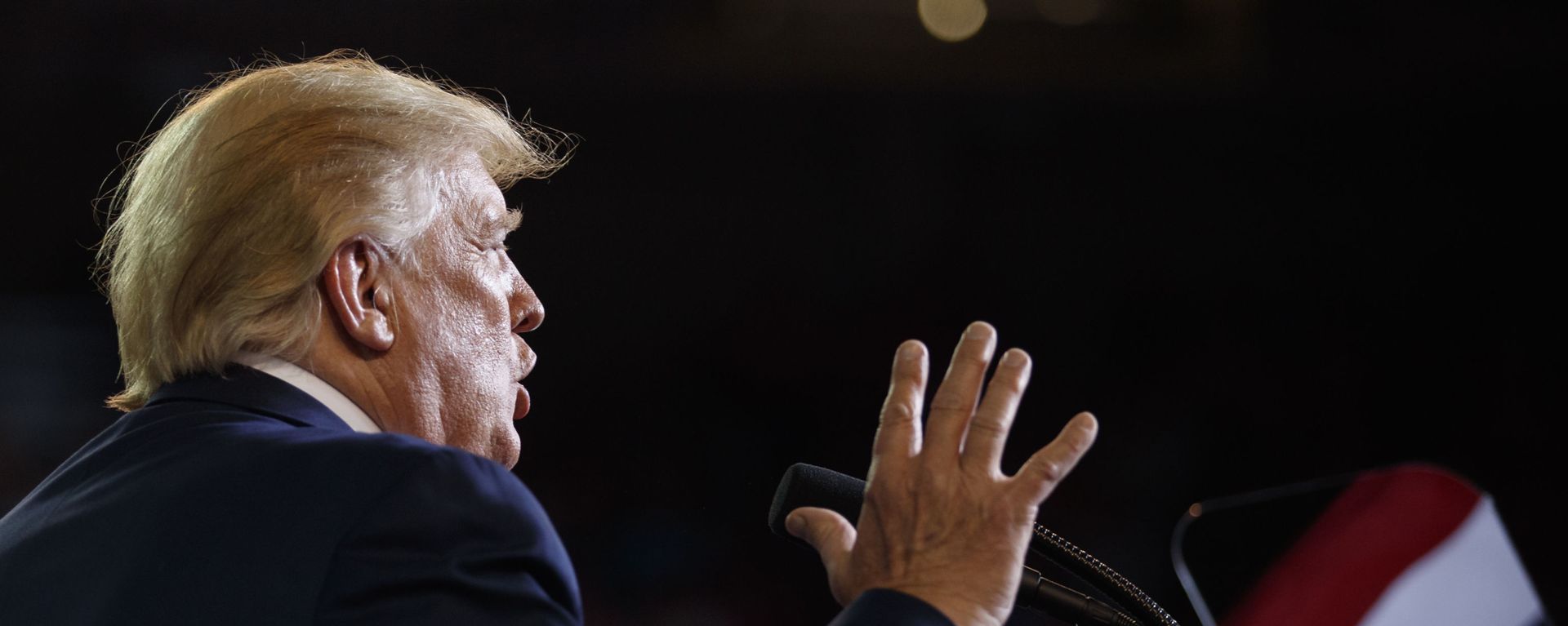 President Donald Trump speaks at a campaign rally at Williams Arena in Greenville, N.C President Donald Trump speaks at a campaign rally at Williams Arena in Greenville, N.C - Sputnik International, 1920, 12.09.2025