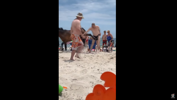 Wild Horse Hits Speedo-Wearing Man’s Family Jewels With Hoof - Sputnik International