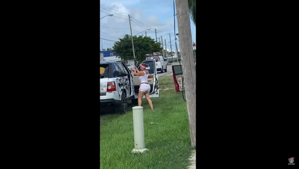 Florida Woman Severely Damages Range Rover - Sputnik International