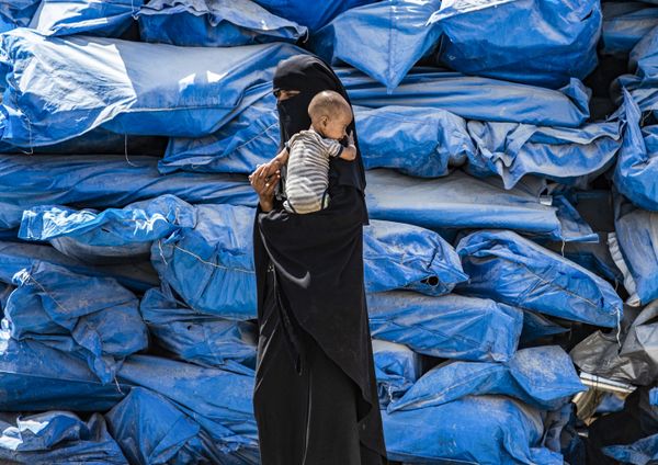 This Week in Pictures: 20-26 July This Week in Pictures: 20-26 July - Sputnik International