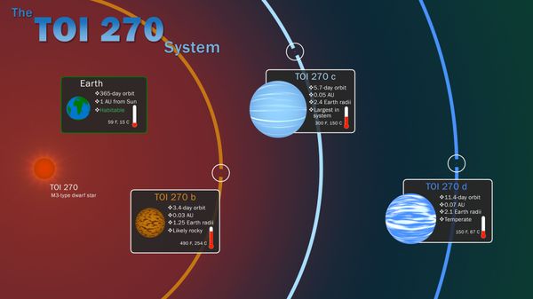NASA’s TESS Discovers ‘Super-Earth,’ ‘Mini-Neptunes’ Amid Exoplanet Mission - Sputnik International