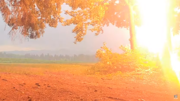 Lightning Strike Gives Stranded Friends Startling Fright - Sputnik International