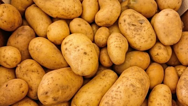 Potatoes  - Sputnik International