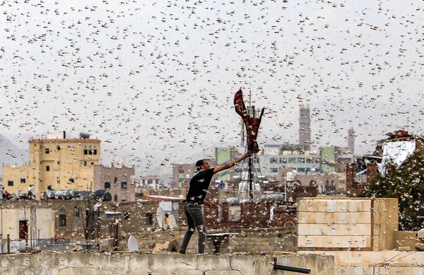 This Week in Pictures: 27 July - 2 August - Sputnik International