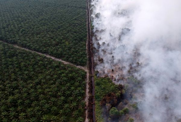 This Week in Pictures: 27 July - 2 August - Sputnik International