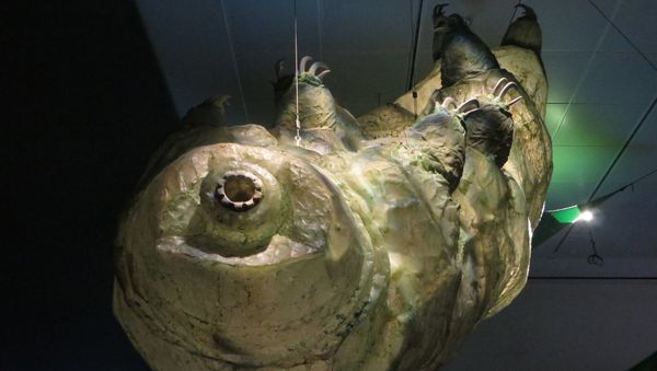 Tardigrade - Sputnik International