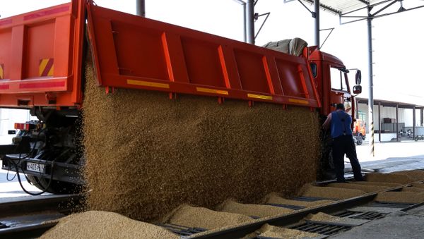 Soybean harvest in Russia, file photo. Soybean harvest in Russia, file photo. - Sputnik International