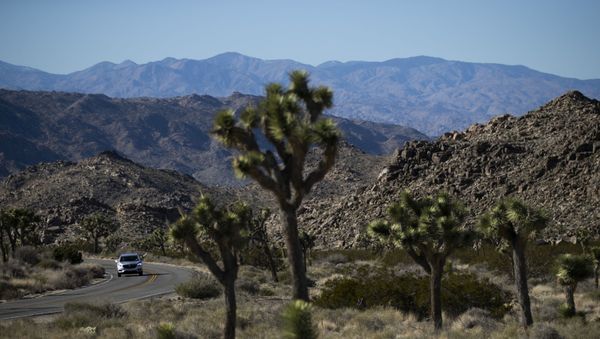 In this Jan. 10, 2019, file photo, a car drives along the road at Joshua Tree National Park in Southern California's Mojave Desert. National parks across the United States are scrambling to clean up and repair damage that visitors and storms caused during the recent government shutdown while bracing for the possibility of another closure ahead of the busy Presidents Day weekend later this month. - Sputnik International