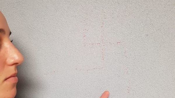 ‘Disgusted, Hurt’: Jewish-Israeli Students Find Swastikas Scrawled on Dorm Wall (Photo) - Sputnik International