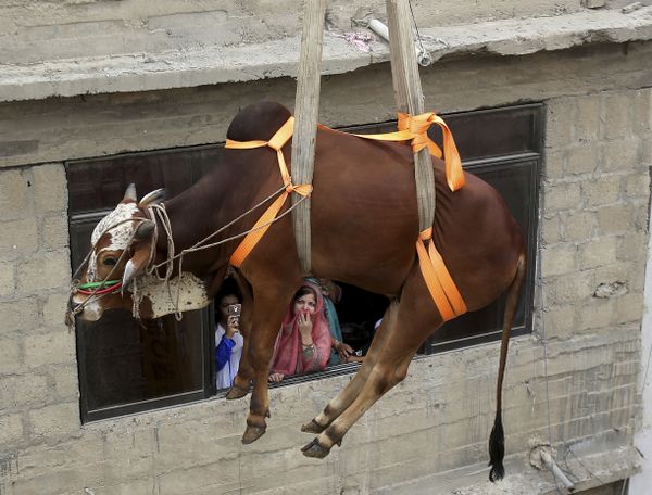 This Week in Pictures: 3-9 August This Week in Pictures: 3-9 August - Sputnik International