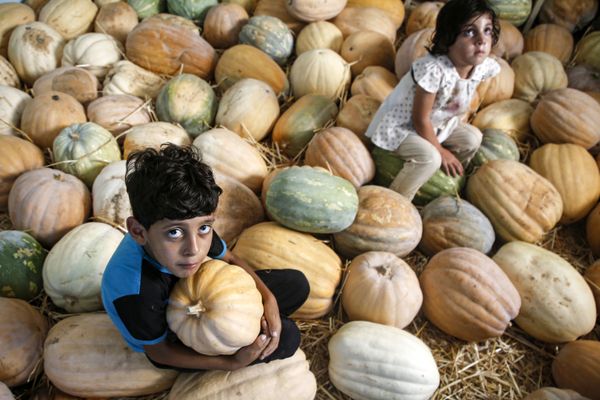 This Week in Pictures: 3-9 August This Week in Pictures: 3-9 August - Sputnik International
