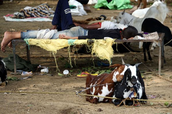 This Week in Pictures: 3-9 August This Week in Pictures: 3-9 August - Sputnik International