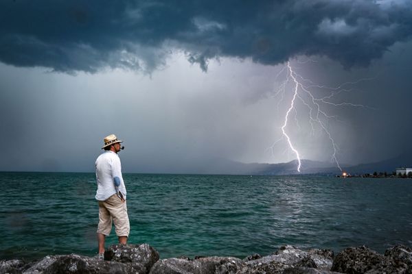 This Week in Pictures: 3-9 August This Week in Pictures: 3-9 August - Sputnik International